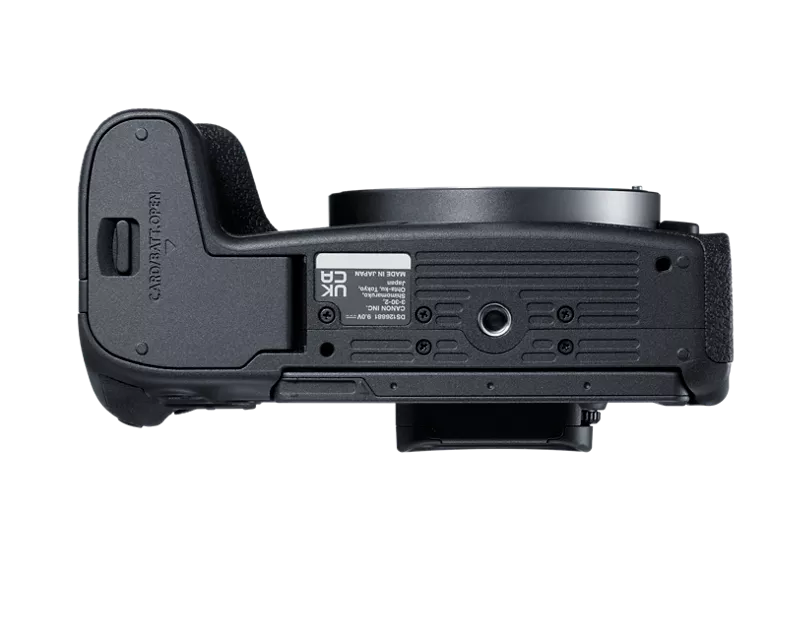 Canon R8 Body